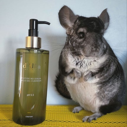 マイルドスキンバランシングヴィーガンクレンザー/ダルバ/洗顔フォームを使ったクチコミ(1枚目)