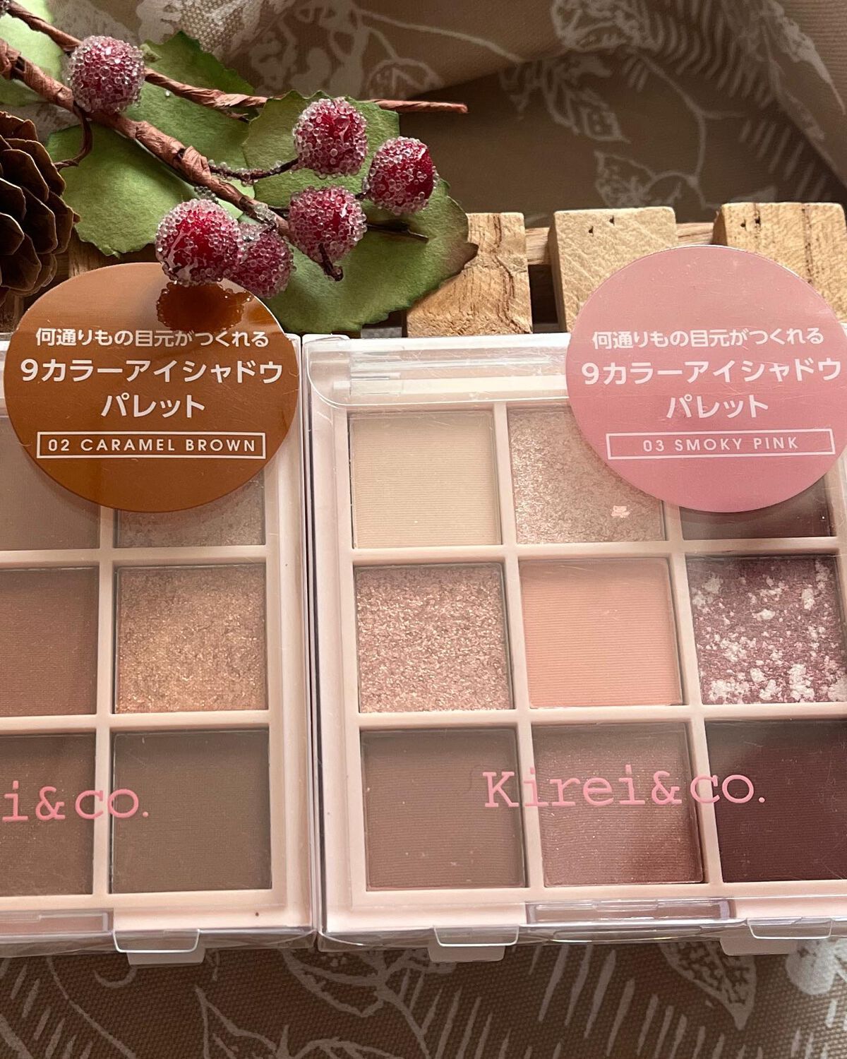 cherry on LIPS 「ウエルシアで可愛いコスメを発見💕全製品が500円(税別)で買え..」(5枚目)