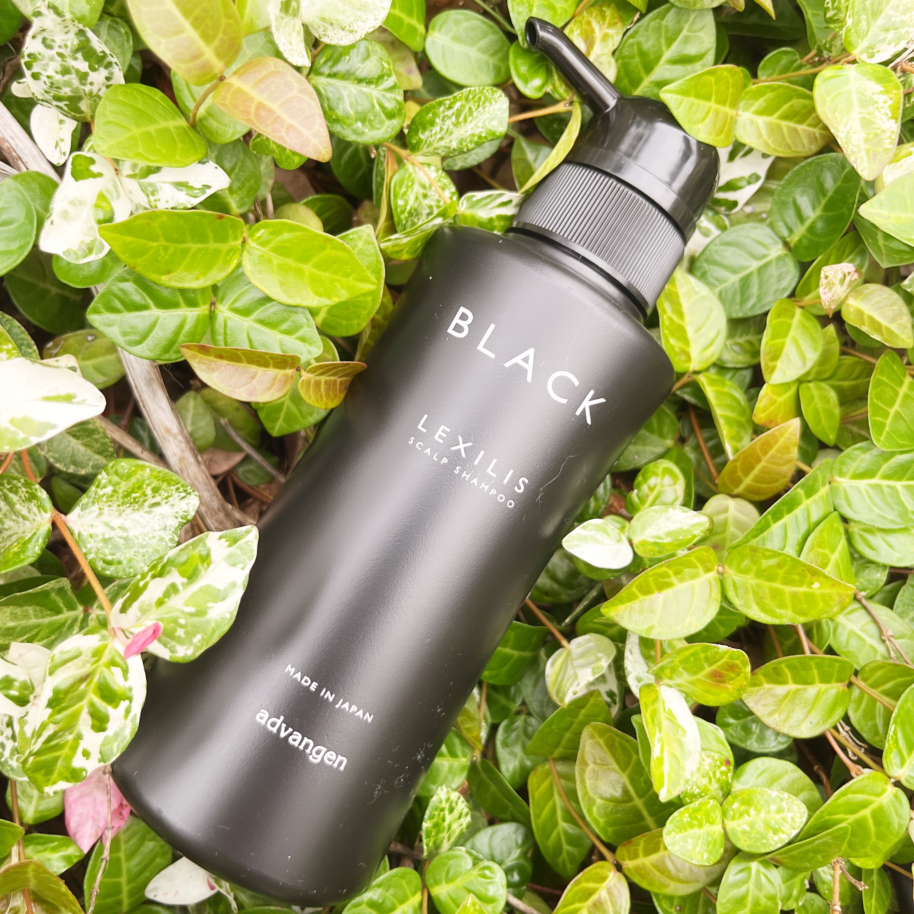 スカルプシャンプー/LEXILIS BLACK FRAGRANCE/頭皮ケアを使ったクチコミ（2枚目）