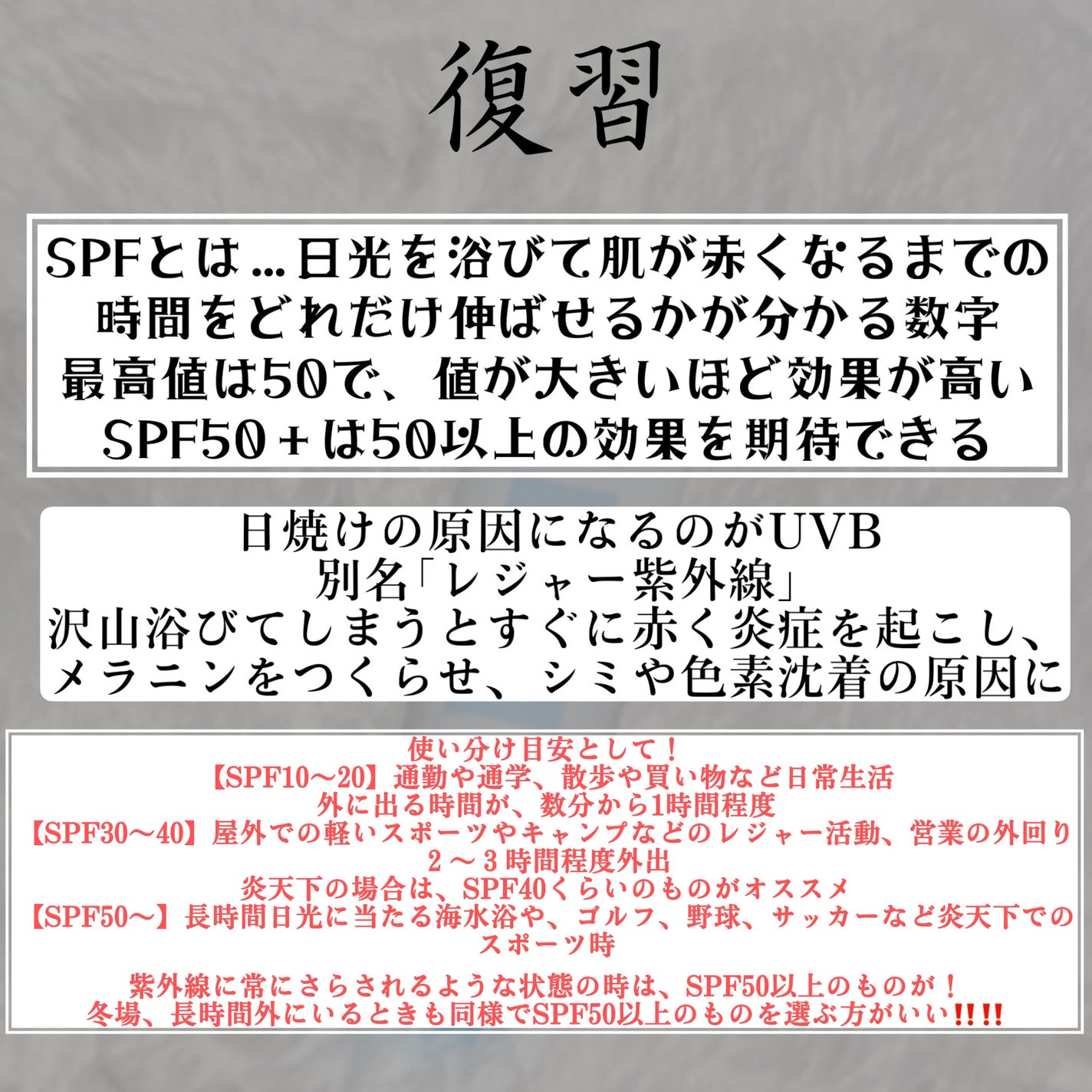 ダイブイン マイルドサンクリーム/Torriden/日焼け止めクリームを使ったクチコミ(2枚目)