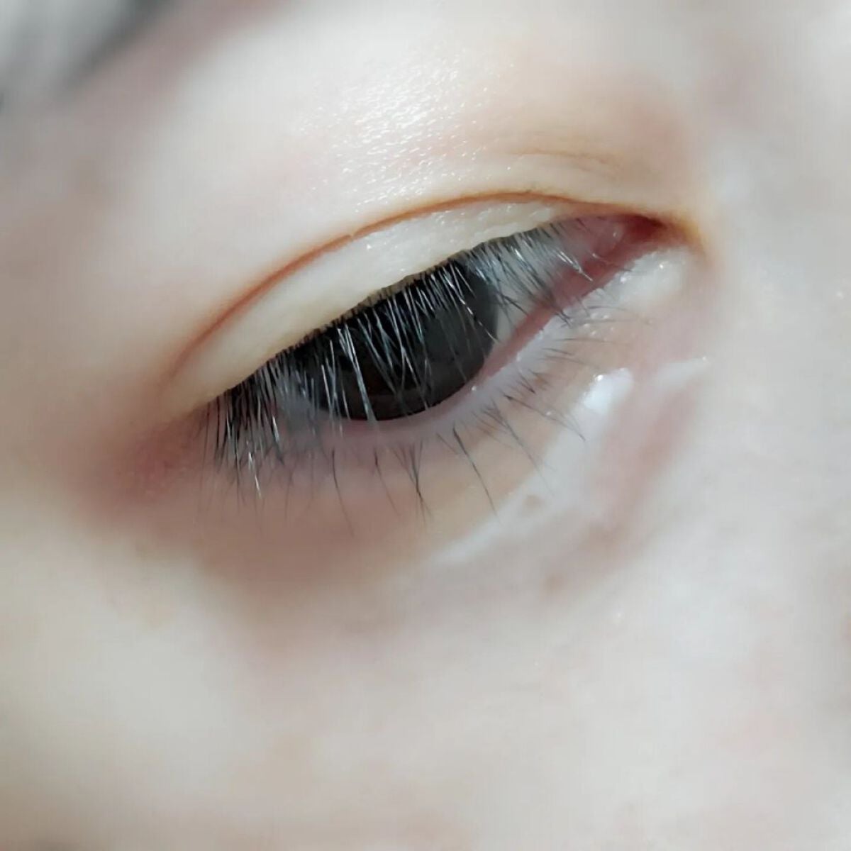 プラセホワイター 薬用美白アイクリーム/明色/アイケア・アイクリームを使ったクチコミ(5枚目)