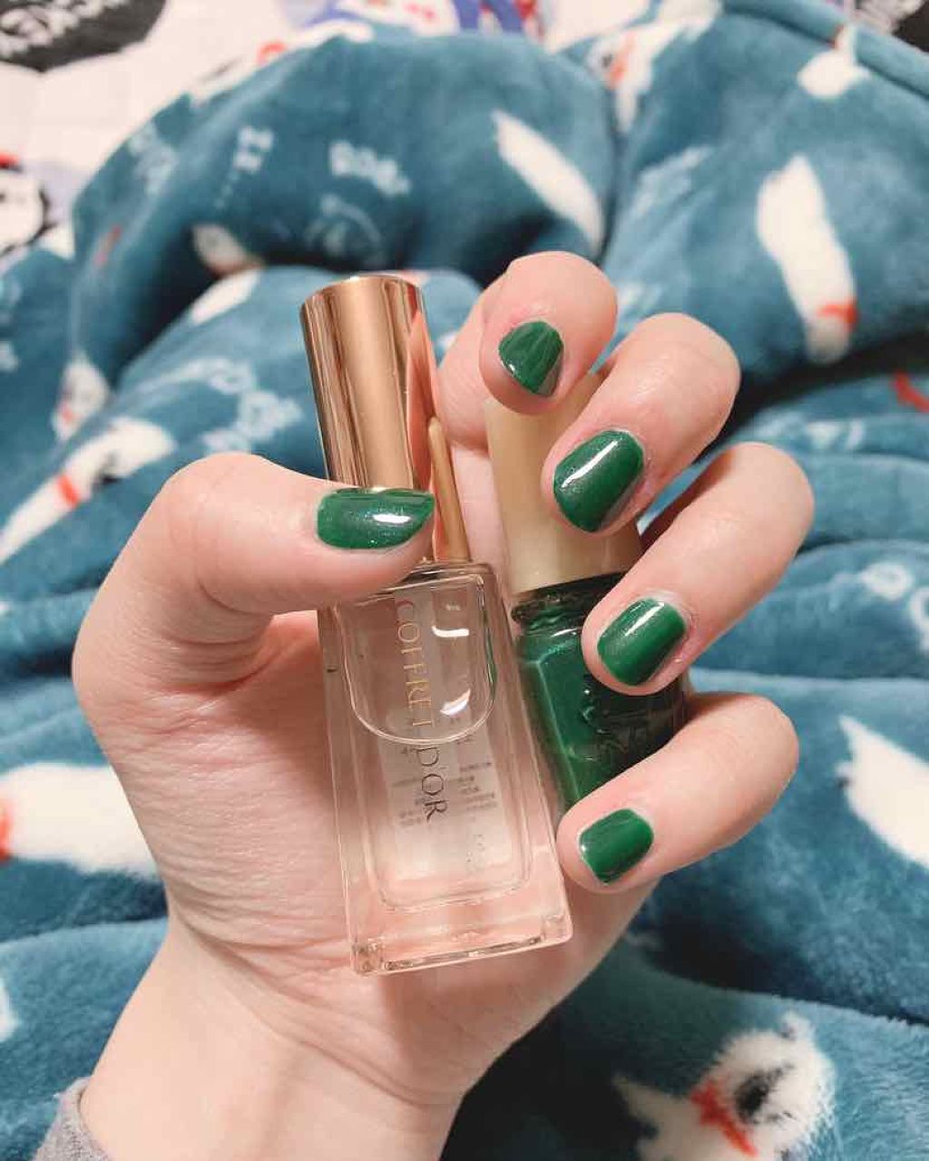 アーティスティックネールズ(スピーディ&グロッシー)/MAJOLICA MAJORCA/マニキュアを使ったクチコミ(1枚目)