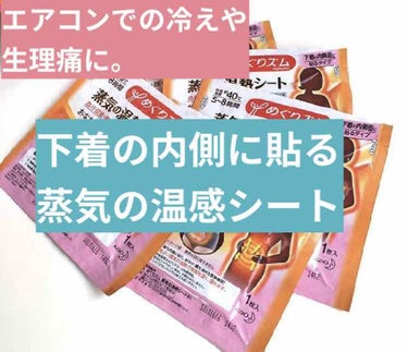 蒸気の温熱シート 下着の内側面に貼るタイプ/めぐりズム/その他を使ったクチコミ（1枚目）