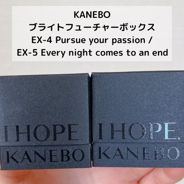 ブライトフューチャーボックス  EX4 Pursue your passion/KANEBO/シングルアイシャドウを使ったクチコミ（2枚目）