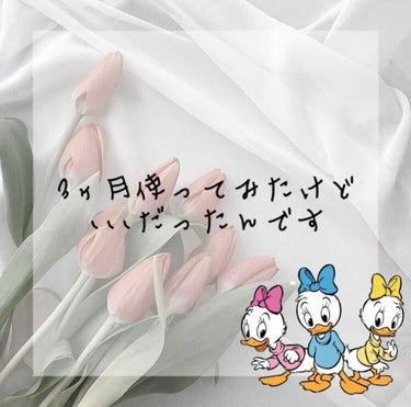 こんにちは、ちょちょ🧸です！

今回は私が3ヶ月間使ってみたけど、効果が感じられなかったものについて話そうかなと思います。

自分に甘い私はできるだけストレスのないダイエットがしたかったんです。普段よく