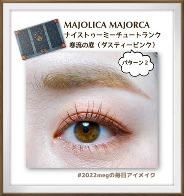 ナイストゥミーチュートランク/MAJOLICA MAJORCA/パウダーアイシャドウを使ったクチコミ（1枚目）