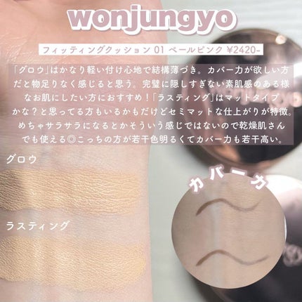 ウォンジョンヨ フィクシングブラーパウダー N/Wonjungyo/ルースパウダーを使ったクチコミ(5枚目)