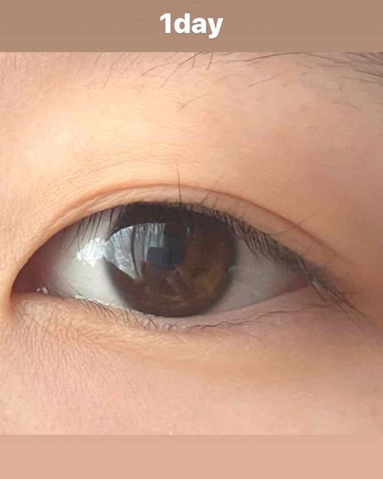 ナイトアイボーテ/StreeTrend/二重まぶた用アイテムを使ったクチコミ(2枚目)