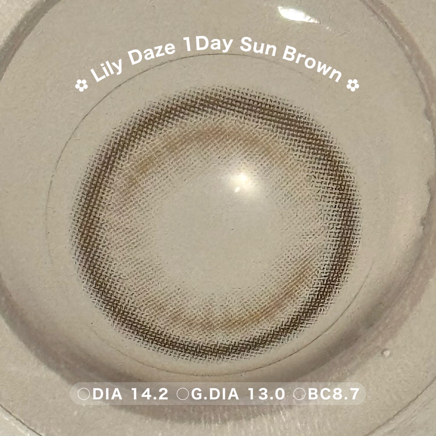 Lily Daze/chuu LENS/ワンデー（１DAY）カラコンを使ったクチコミ（3枚目）