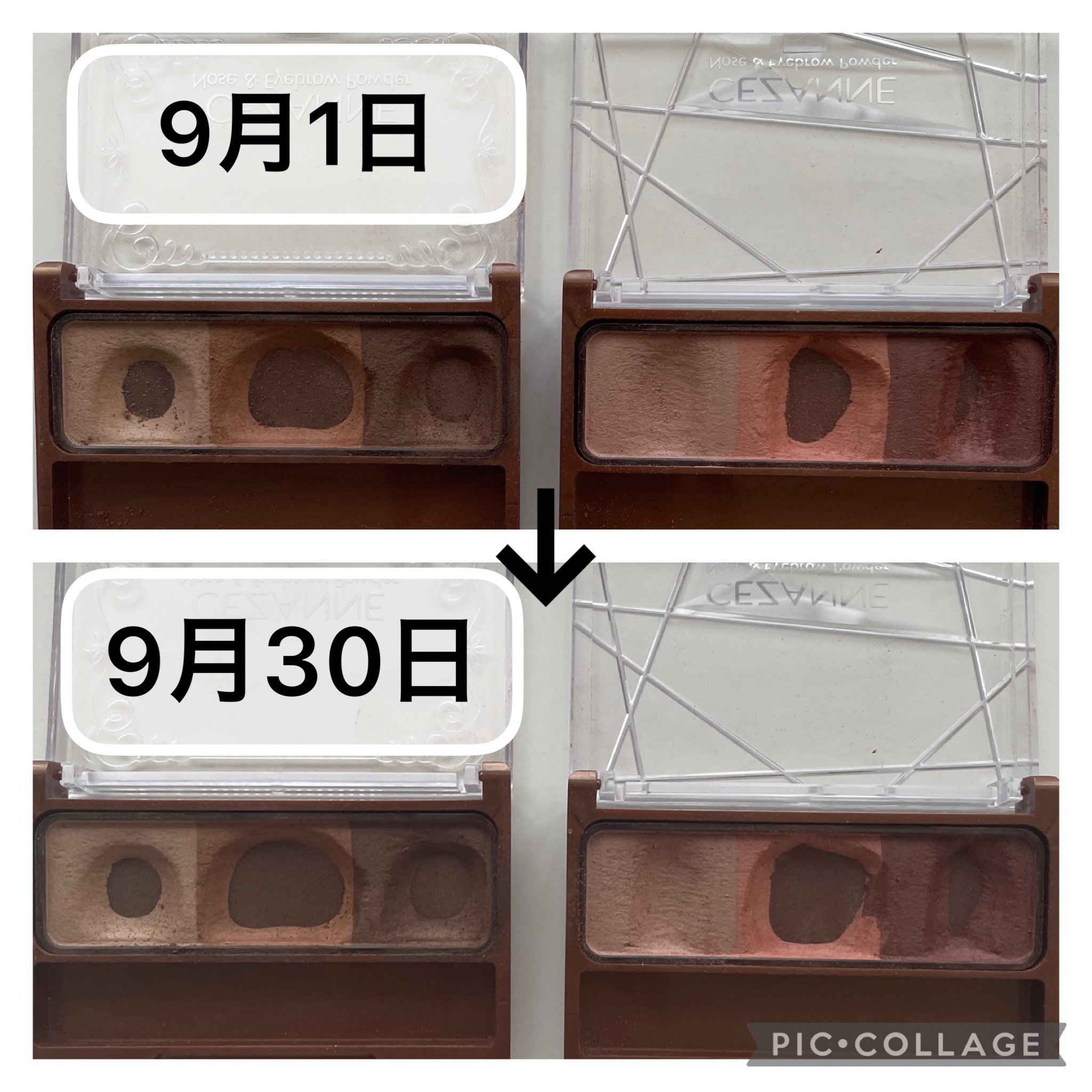 ノーズ＆アイブロウパウダー/CEZANNE/パウダーアイブロウを使ったクチコミ（2枚目）