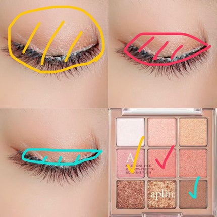 ワンピックアイシャドウパレット/APLIN/アイシャドウパレットを使ったクチコミ(2枚目)