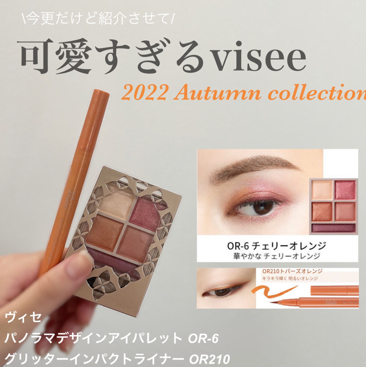 パノラマデザイン アイパレット/Visée/アイシャドウパレットを使ったクチコミ（1枚目）