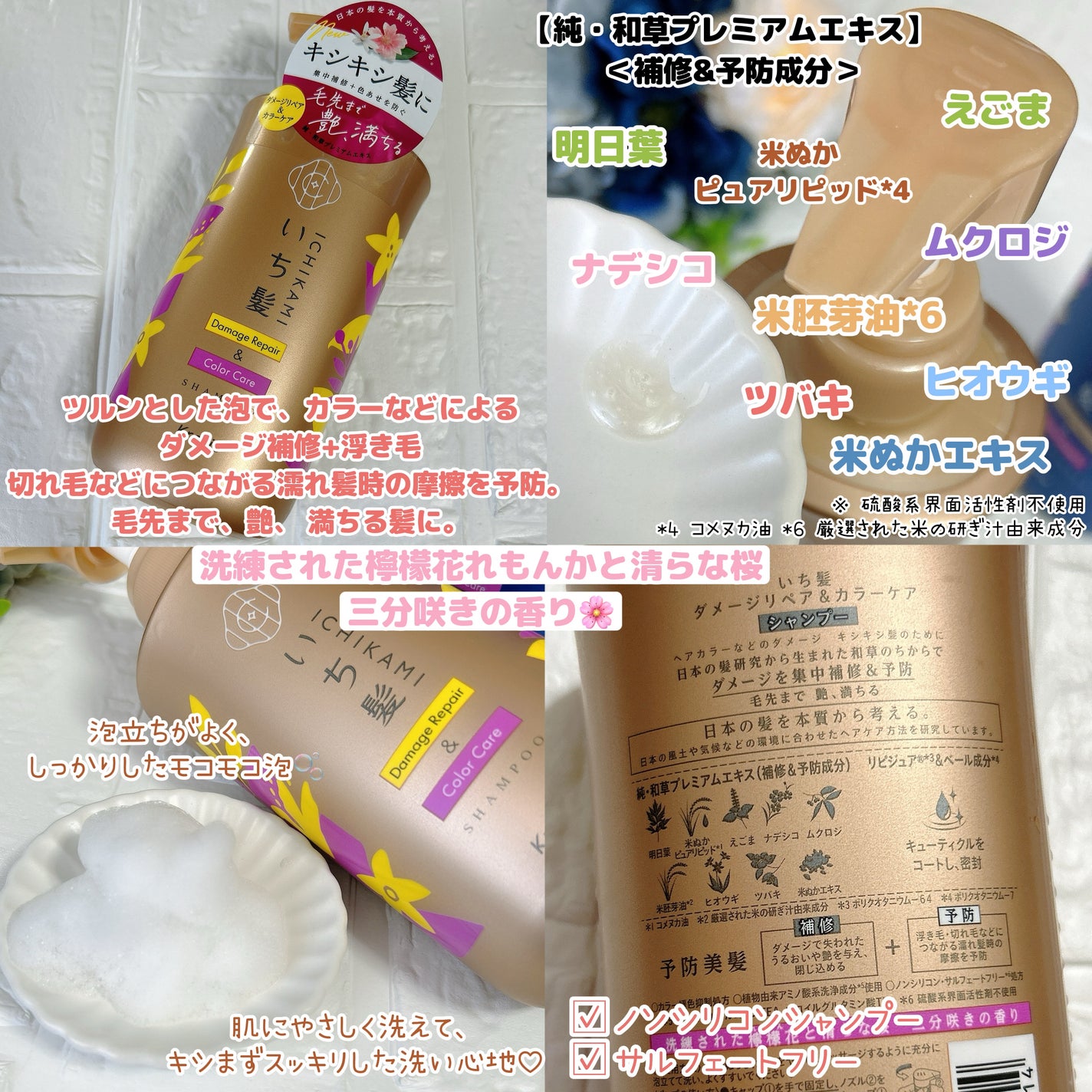 ãã¡ãŒãžãªãã¢ïŒã«ã©ãŒã±ã¢ ã·ã£ã³ããŒ/ã³ã³ãã£ã·ã§ããŒ/ãã¡é«ª/åžè²©ã·ã£ã³ããŒã䜿ã£ãã¯ãã³ãïŒ2æç®ïŒ