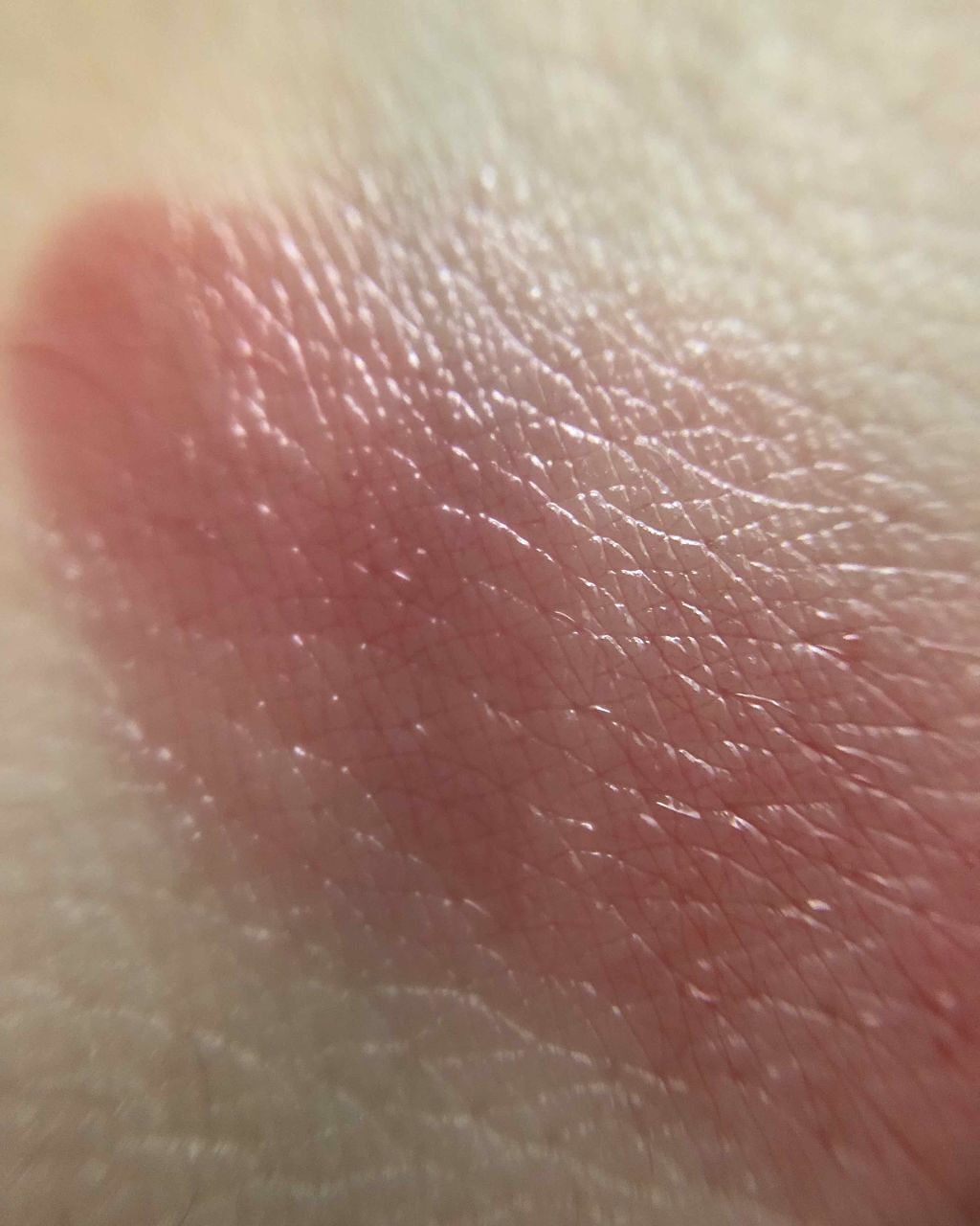 ラスティンググロスリップ/CEZANNE/口紅を使ったクチコミ(3枚目)