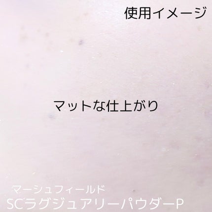 SC ラグジュアリーパウダー/マーシュ・フィールド/ルースパウダーを使ったクチコミ(4枚目)
