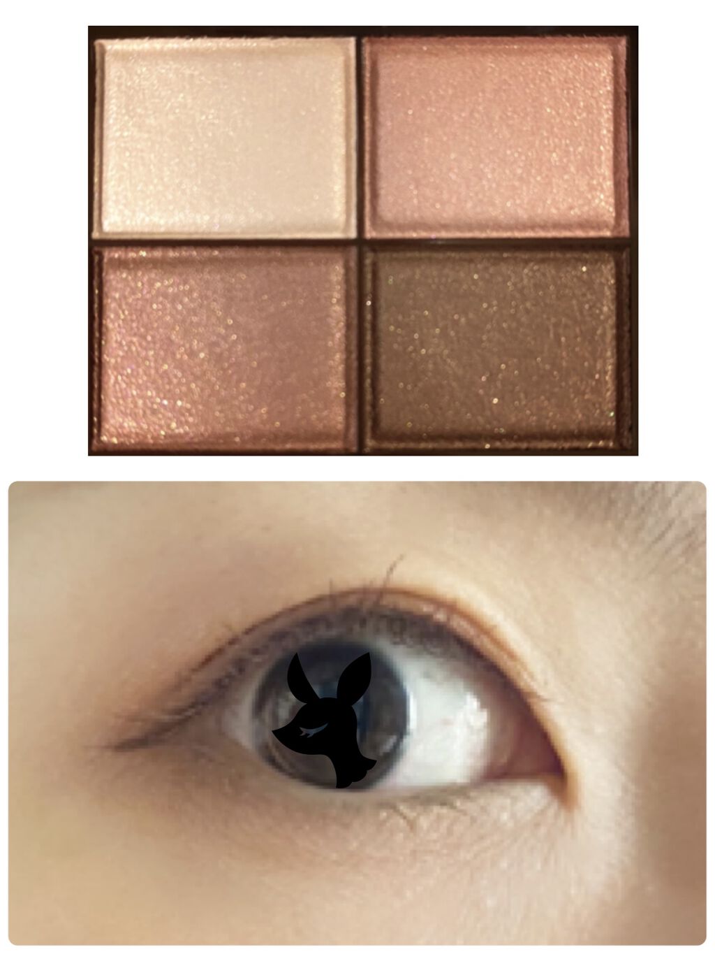 スキニーリッチシャドウ/excel/アイシャドウパレットを使ったクチコミ（3枚目）