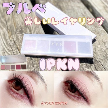 イプクン パーソナル ムードパレット #2 PLAIN WINTER/IPKN/アイシャドウパレットを使ったクチコミ（1枚目）