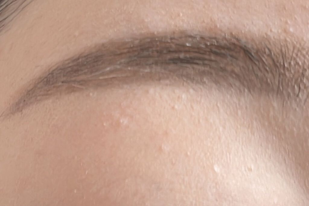 エバビレーナ アイブローコート/DAISO/アイブロウコートを使ったクチコミ（2枚目）