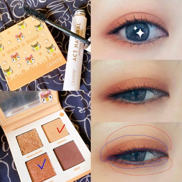 what a hoot/ColourPop/アイシャドウパレットを使ったクチコミ（1枚目）