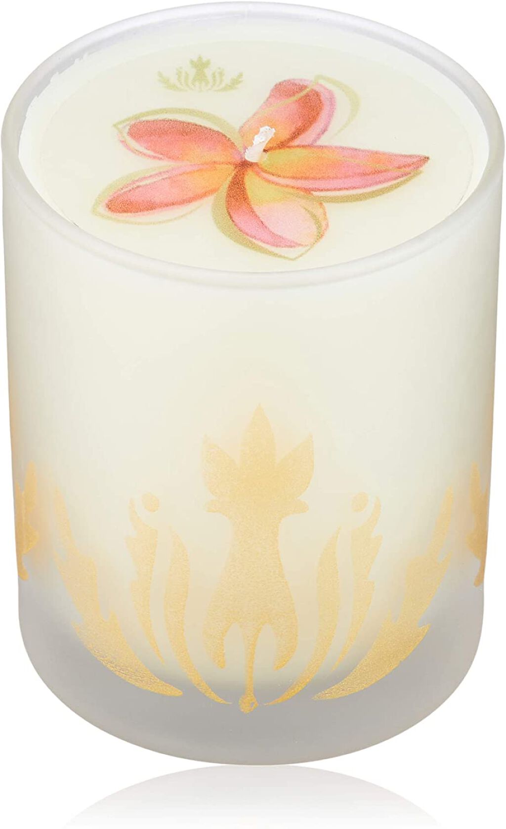 ソイトラベルキャンドル プルメリア240g
