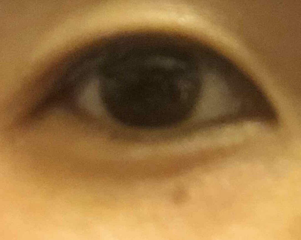 メジカライナー ナイト&ハード/シェモア/二重まぶた用アイテムを使ったクチコミ(1枚目)