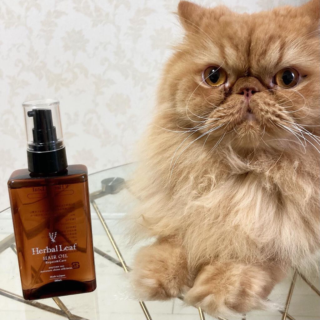 オーガニックヘアオイル フレッシュティーの香り/ハーバルリーフ/ヘアオイルを使ったクチコミ(2枚目)