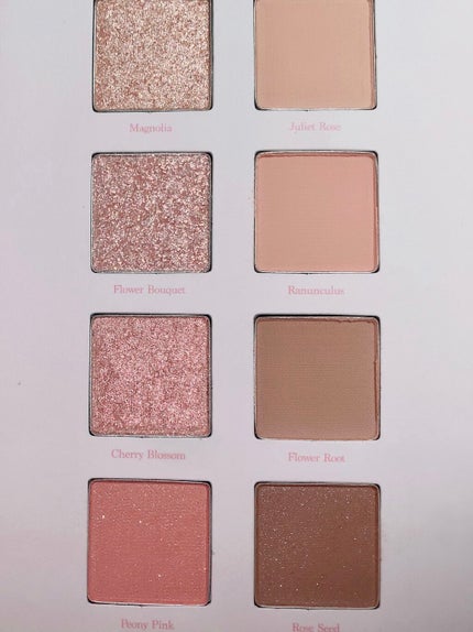 シャドウパレット/dasique/アイシャドウパレットを使ったクチコミ(2枚目)