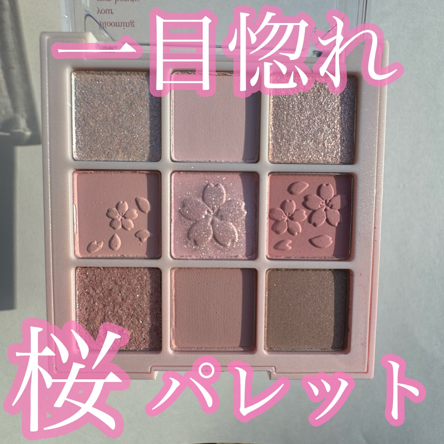 シャドウパレット/dasique/アイシャドウパレットを使ったクチコミ(1枚目)