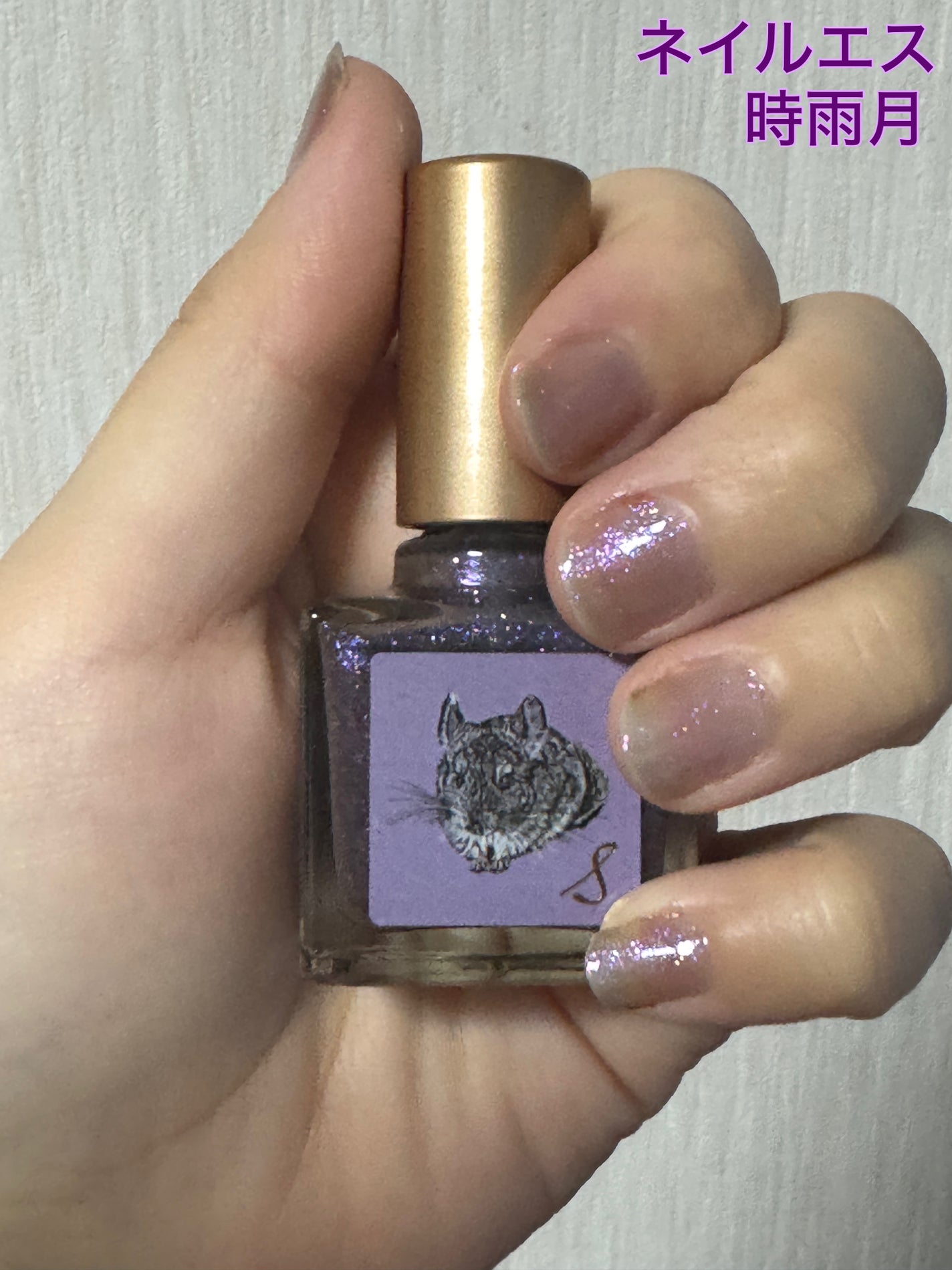 ネイルエス/ nail S(ネイルエス) /マニキュアを使ったクチコミ(1枚目)