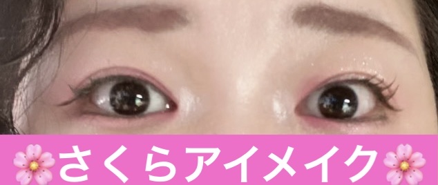 UT シャドウ パレット/NYX Professional Makeup/アイシャドウパレットを使ったクチコミ（1枚目）