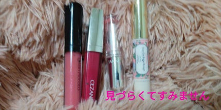 ステイオンバームルージュ/キャンメイク/口紅を使ったクチコミ(1枚目)