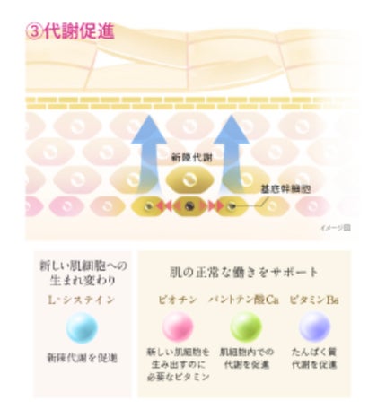 シナール イクシ プレミアム2000(医薬品)/シオノギ製薬/その他を使ったクチコミ(5枚目)