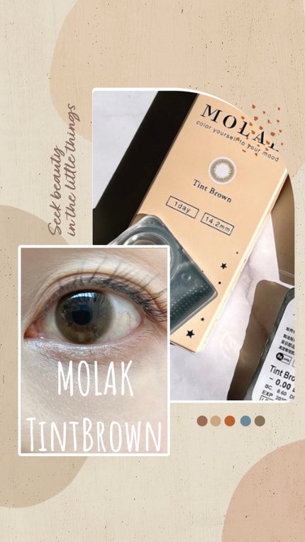 MOLAK 1day/MOLAK/ワンデー(1DAY)カラコンを使ったクチコミ(1枚目)