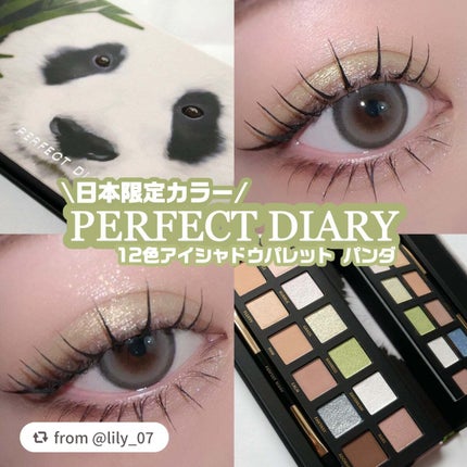 エクスプローラ12色 動物アイシャドウパレット/PERFECT DIARY/アイシャドウパレットを使ったクチコミ(1枚目)