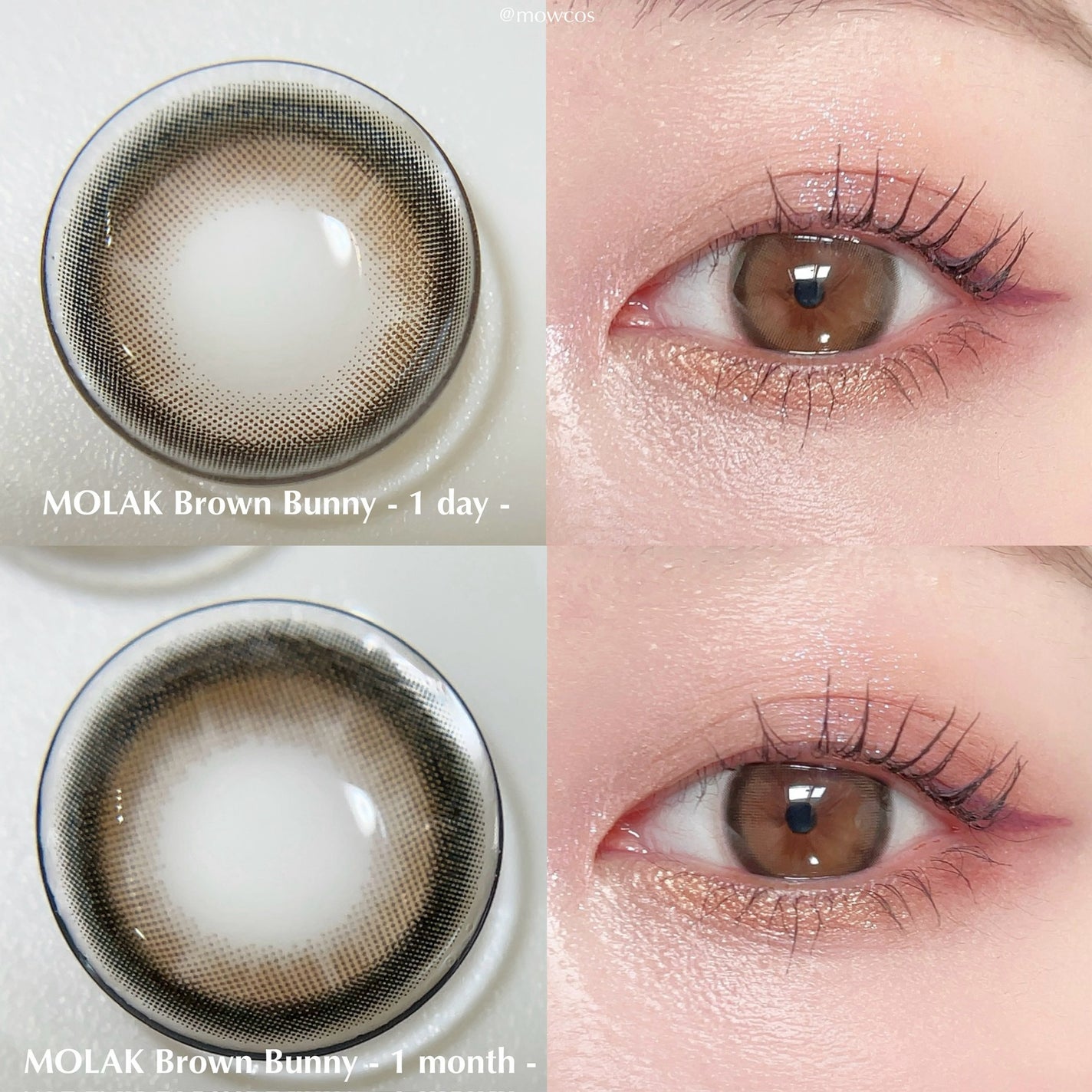 MOLAK 1day/MOLAK/ワンデー(1DAY)カラコンを使ったクチコミ(1枚目)