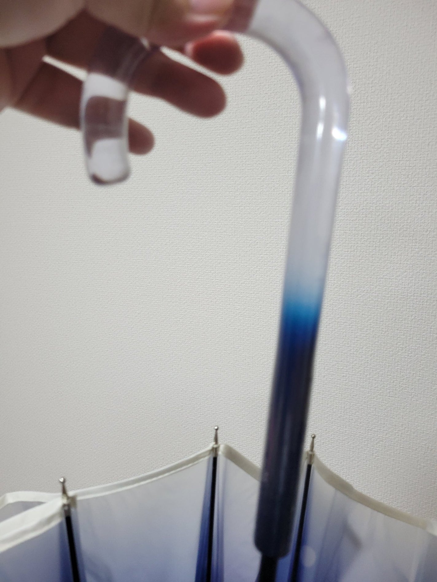 えのすい×Wpc. アンブレラ/Wpc./その他を使ったクチコミ(3枚目)