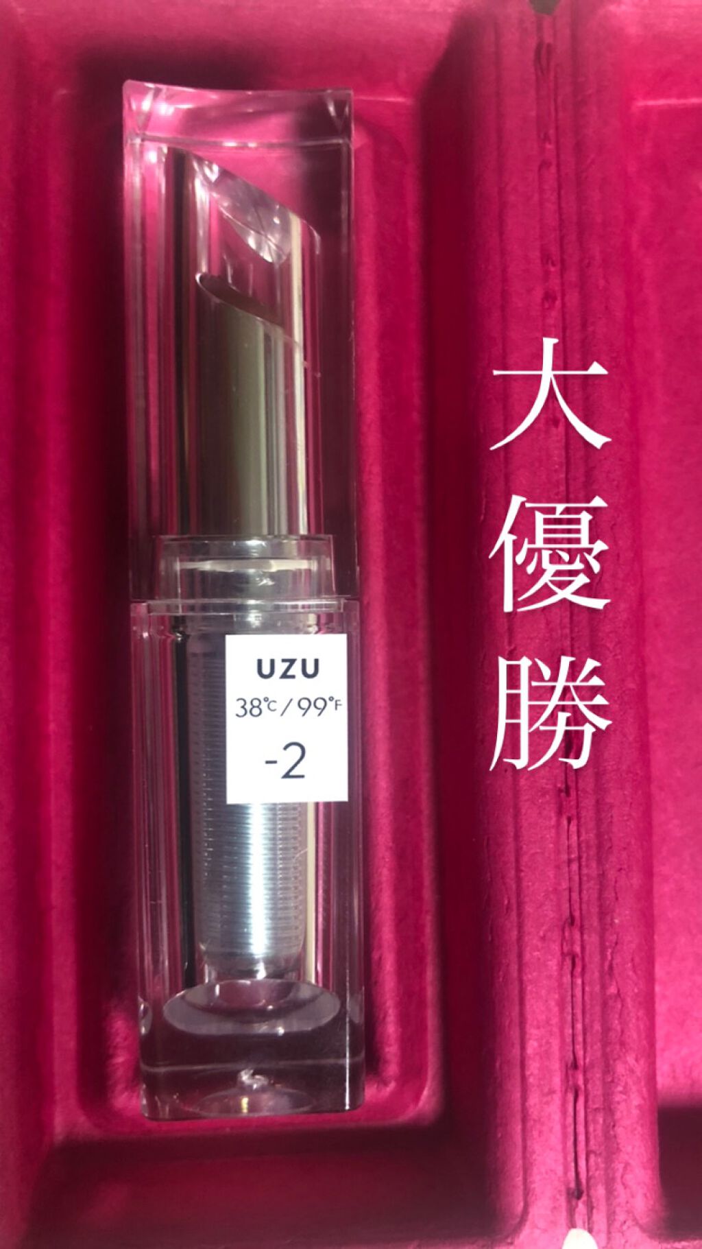  38°C / 99°F Lipstick <TOKYO>/UZU BY FLOWFUSHI/口紅を使ったクチコミ（1枚目）