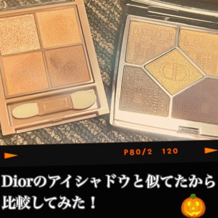 ビタートーンアイシャドウ/CEZANNE/パウダーアイシャドウを使ったクチコミ(3枚目)