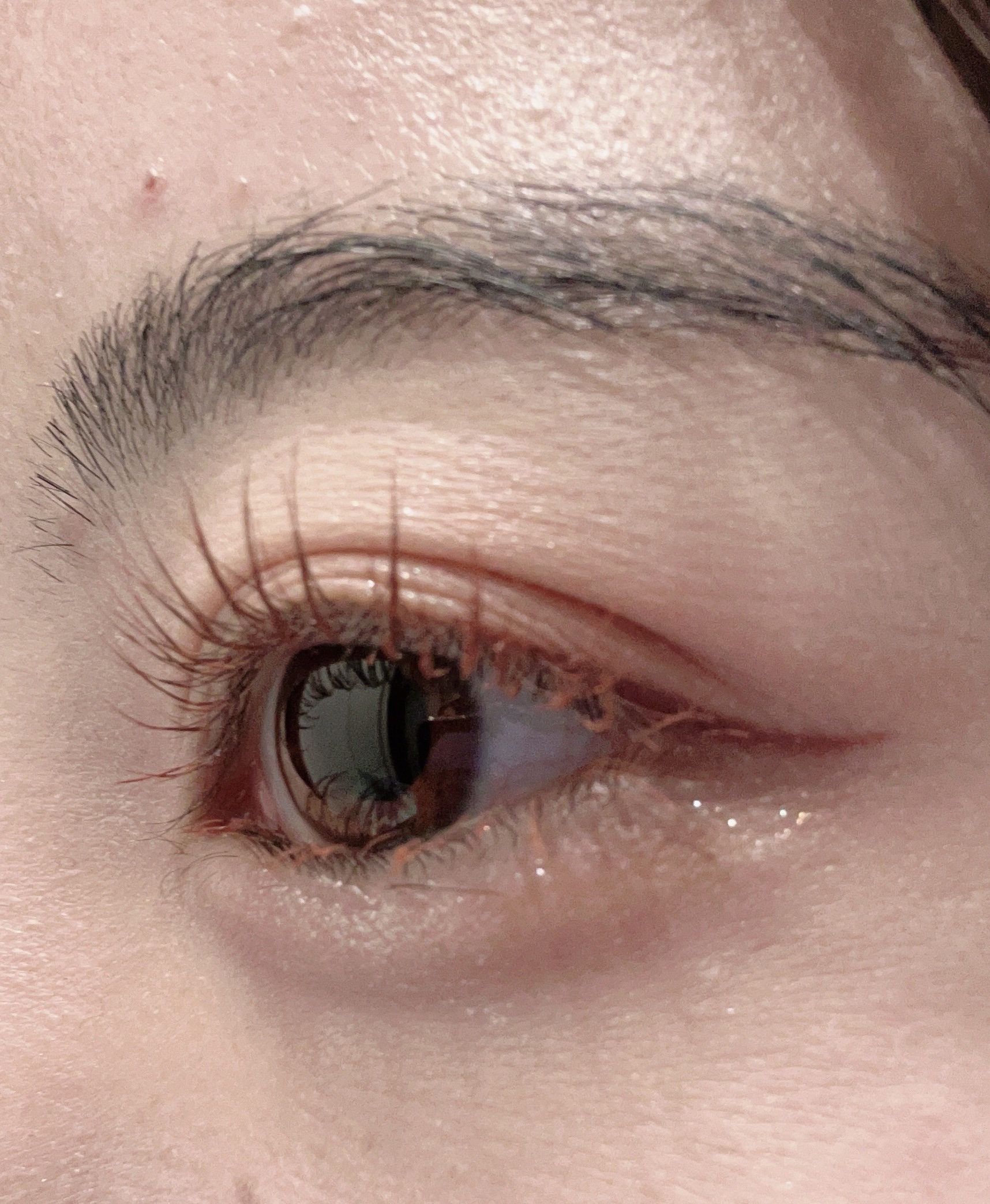 パーフェクトスタイリストアイズ/キャンメイク/アイシャドウパレットを使ったクチコミ（2枚目）