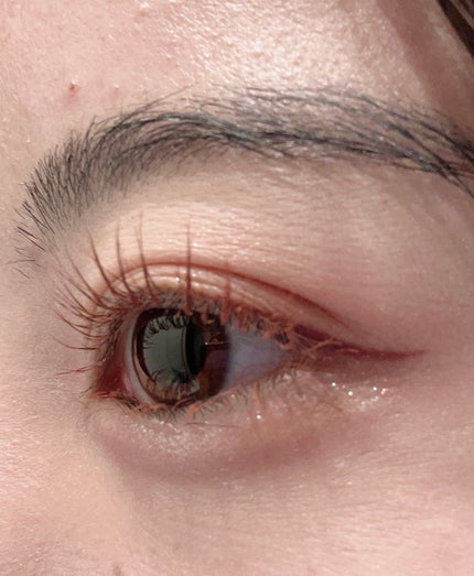 プランぷくコーデアイズNeo/キャンメイク/アイシャドウを使ったクチコミ(2枚目)