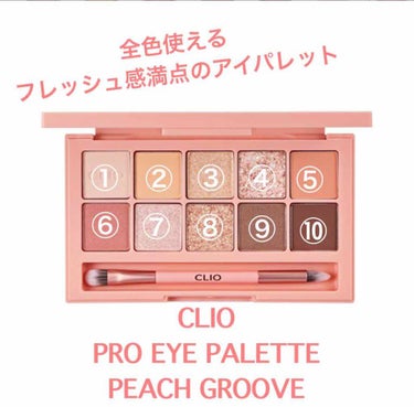 プロ アイ パレット/CLIO/アイシャドウパレットを使ったクチコミ（1枚目）