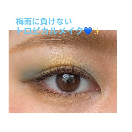 シャドーカスタマイズ/MAJOLICA MAJORCA/単色アイシャドウを使ったクチコミ(1枚目)