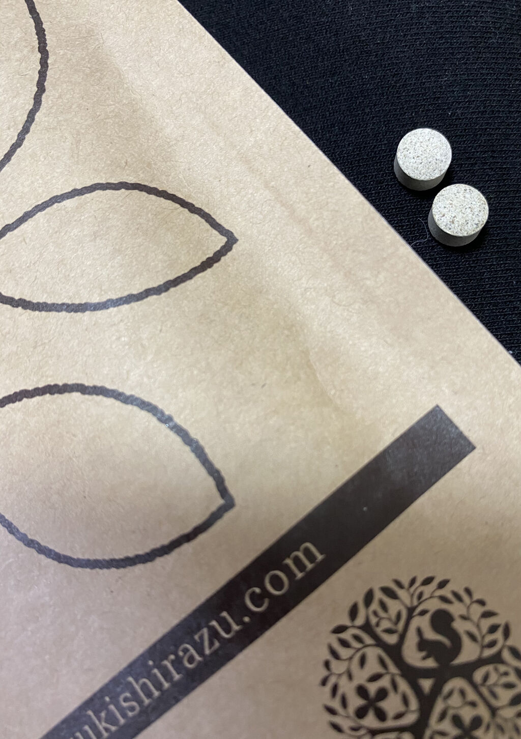 ずきしらずの実/北の快適工房/健康サプリメントを使ったクチコミ（2枚目）