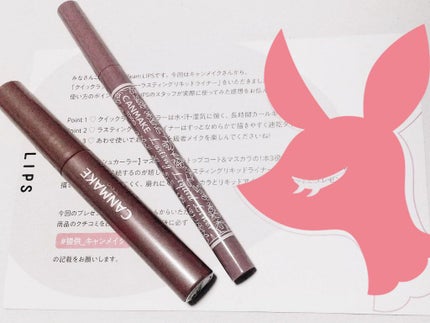 ラスティングリキッドライナー/キャンメイク/リキッドアイライナーを使ったクチコミ(1枚目)