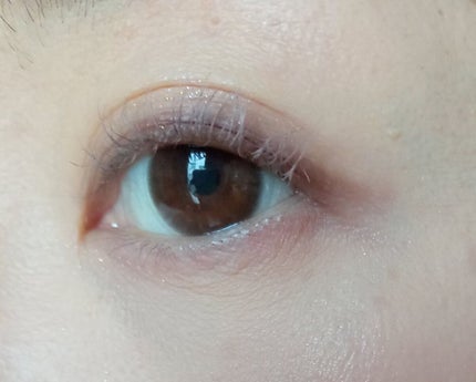 ラッシュ&アイブロウマスカラ/KIREI FACTORY/マスカラを使ったクチコミ(3枚目)