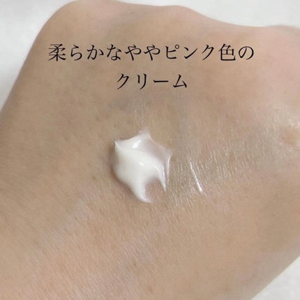 クリーム イン デイ/KANEBO/フェイスクリームを使ったクチコミ(2枚目)