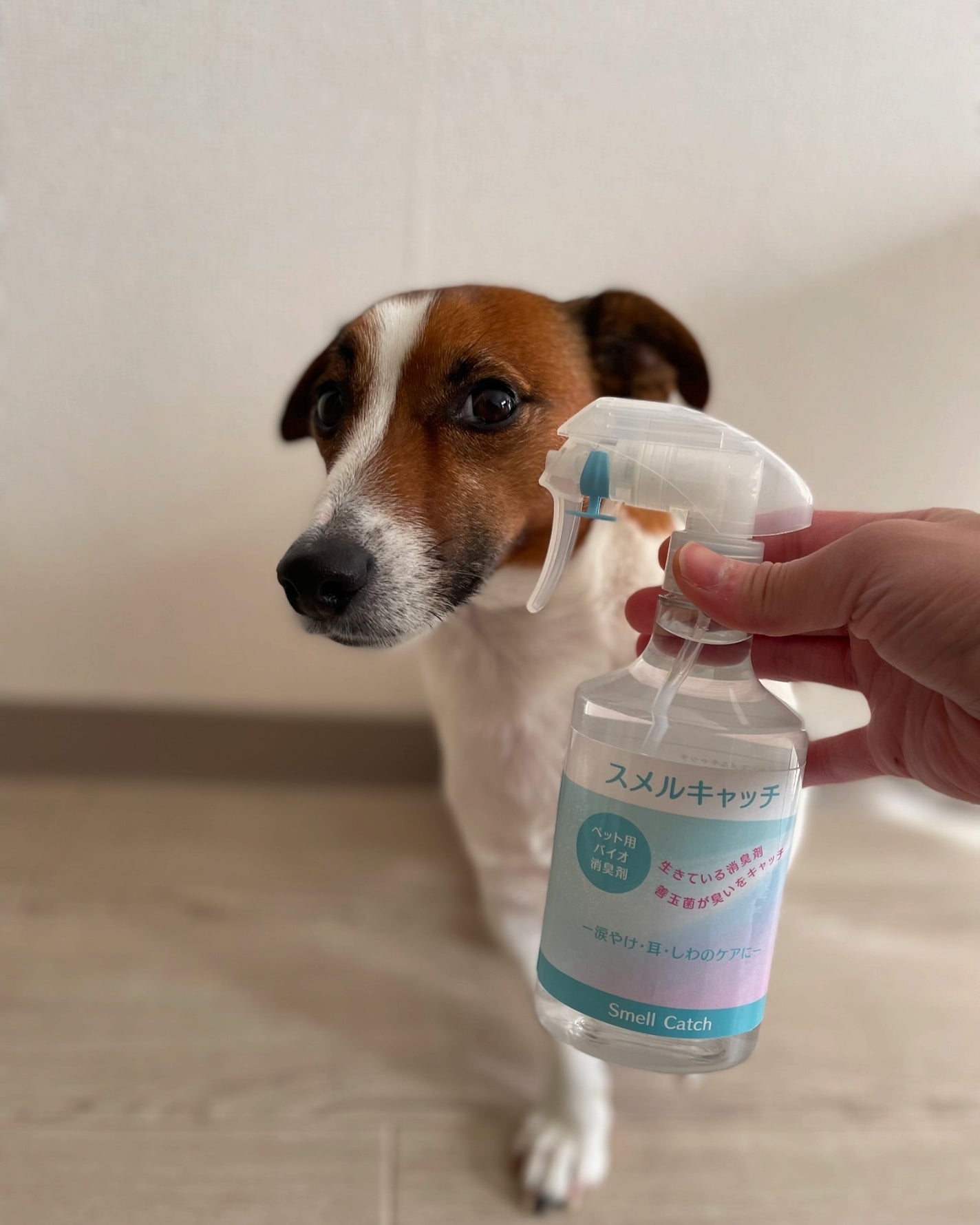 KYC★フォロバ120% on LIPS 「ペット用バイオ消臭剤【スルメキャッチ】@SOKENKAZARI..」(1枚目)