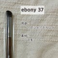 ebony37 / Ancci brush