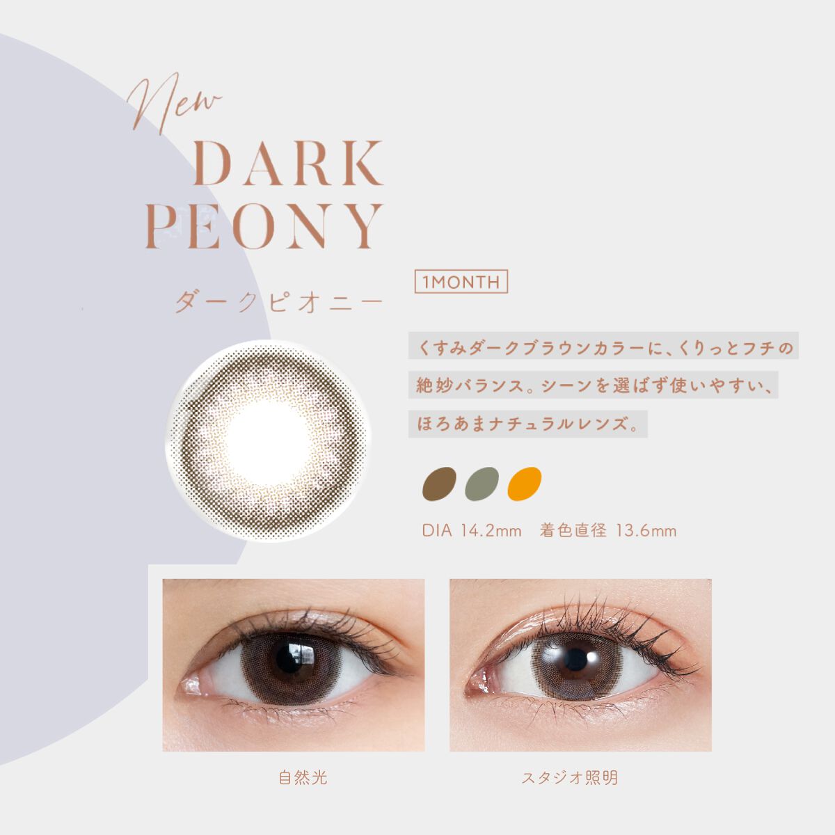 MOLAK 1month ダークピオニー