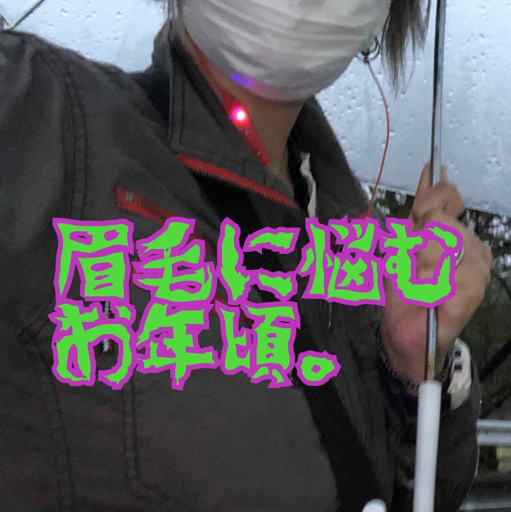 エルファー アイブローペンシル/DAISO/アイブロウペンシルを使ったクチコミ（1枚目）